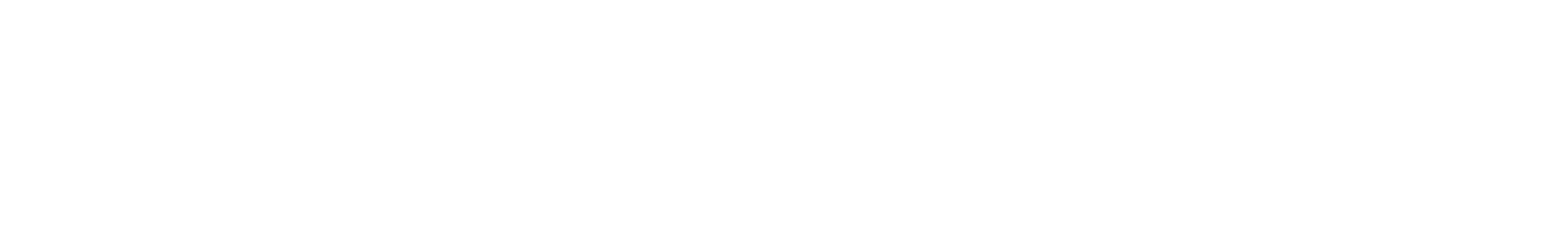 Hublingua